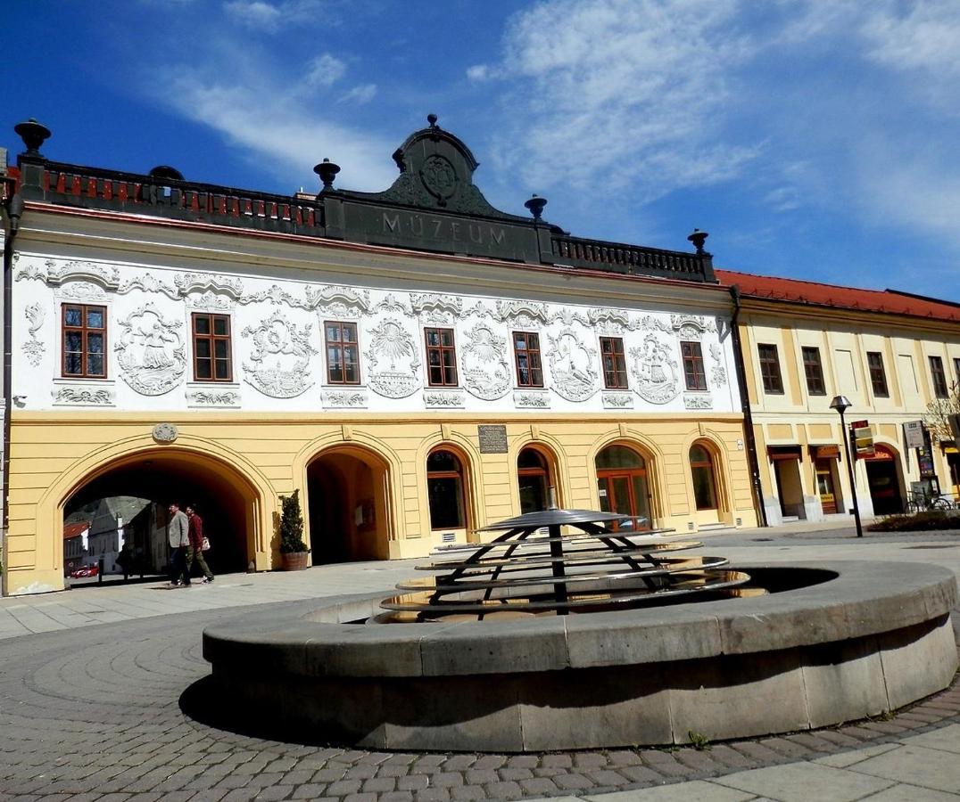 Apartman Ala Spišská Nová Ves 외부 사진